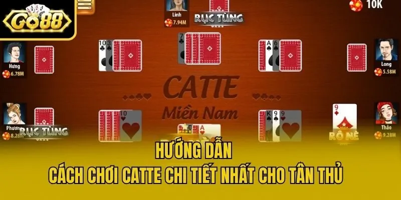 Hướng dẫn cách chơi Catte chi tiết nhất cho tân thủ