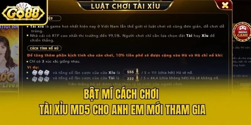 Bật mí cách chơi Tài Xỉu MD5 cho anh em mới tham gia