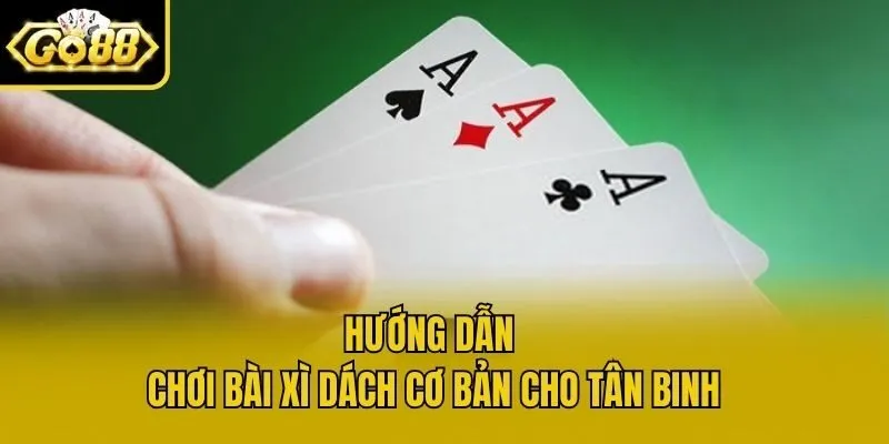 Hướng dẫn chơi bài xì dách cơ bản cho tân binh