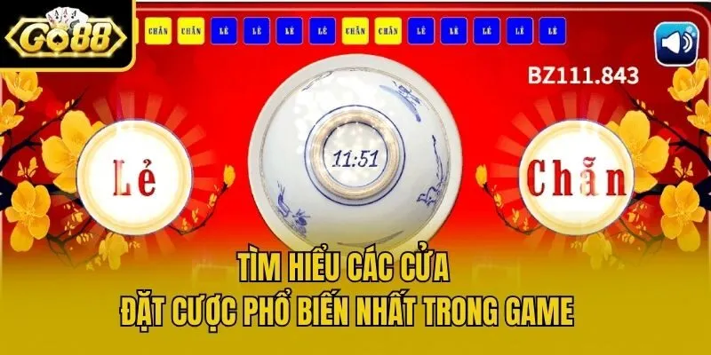 Tìm hiểu các cửa đặt cược phổ biến nhất trong game