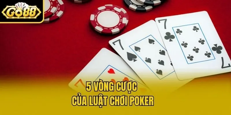 5 Vòng cược của luật chơi poker