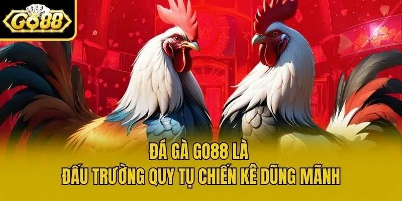 Đá gà Go88 là đấu trường quy tụ chiến kê dũng mãnh