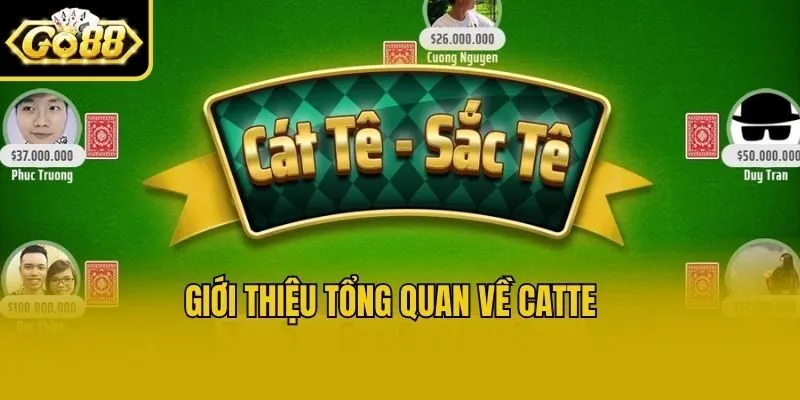Giới thiệu tổng quan về Catte