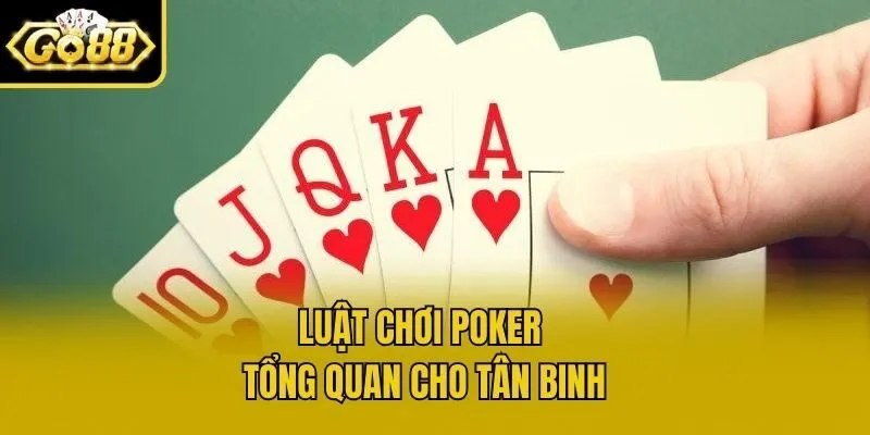 Luật chơi poker tổng quan cho tân binh